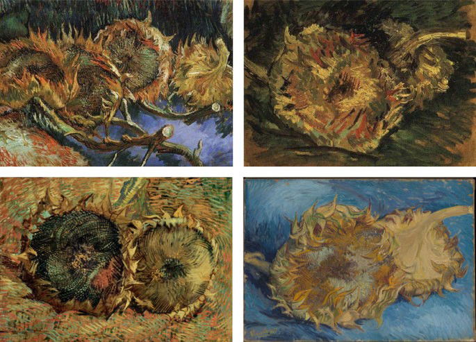 girasoles