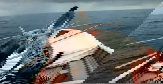 animales bote