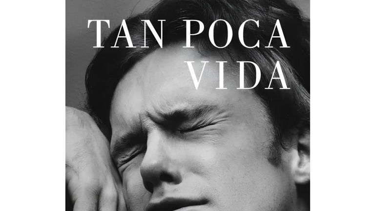Tan poca vida: resumen y análisis de la novela