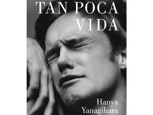 Tan poca vida: resumen y análisis de la novela