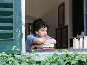 Timothée Chalamet: las 12 películas que no puedes perderte y un recorrido por su filmografía