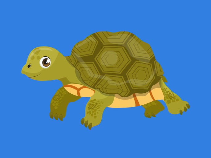Tortuga