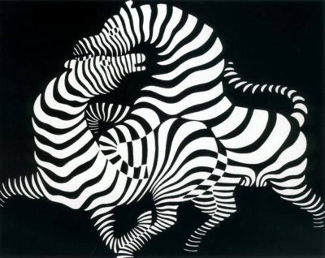 Zebra Víctor Vasarely