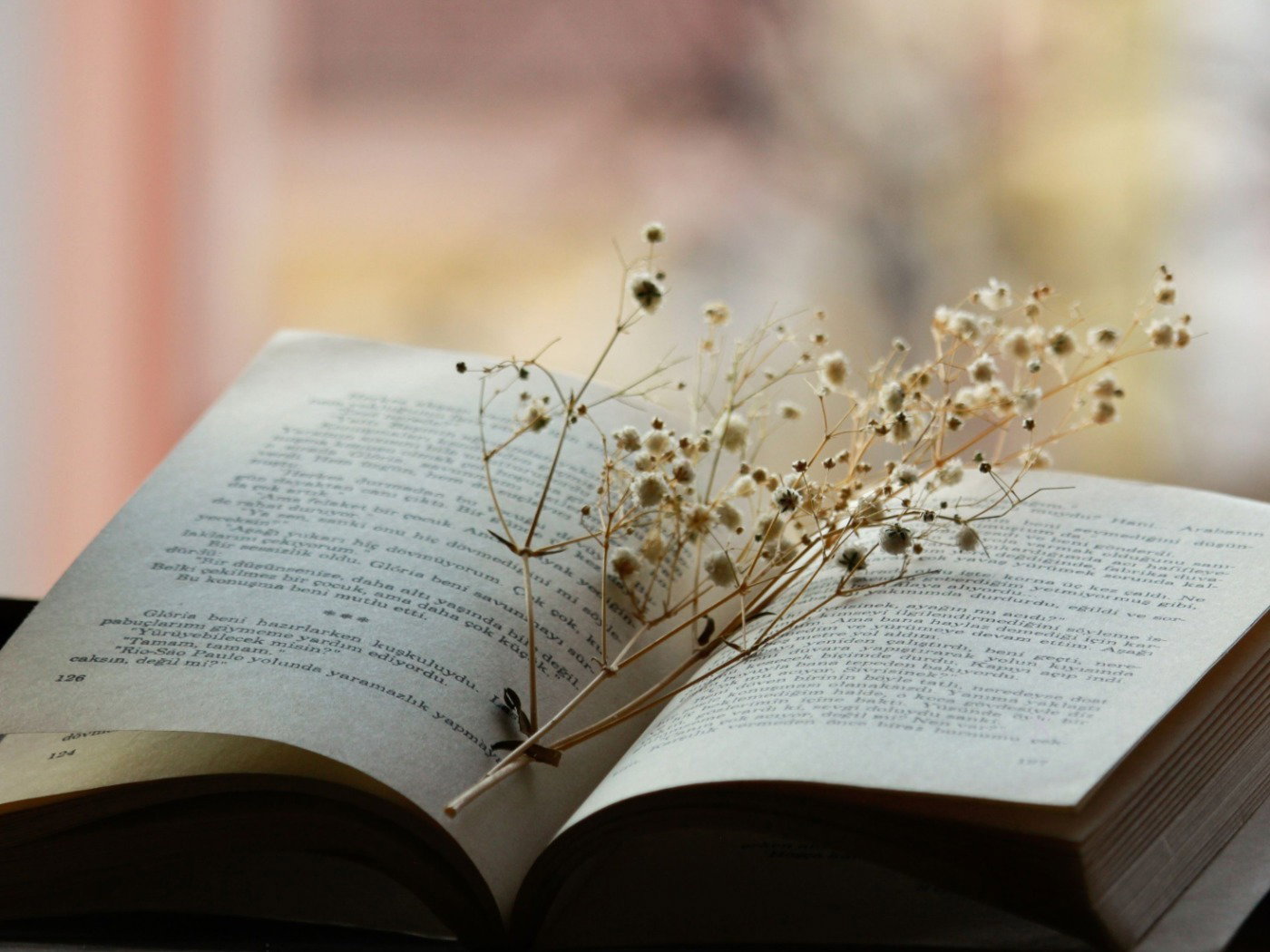 8 poemas femininos curtos para refletir e se inspirar