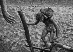 Sebastião Salgado: 13 fotos impactantes que resumem a obra do fotógrafo