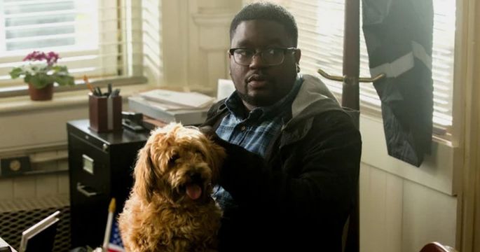 Rod fica tomando conta do cachorro.