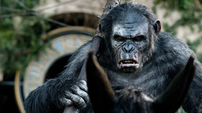 Koba - Planeta dos macacos.