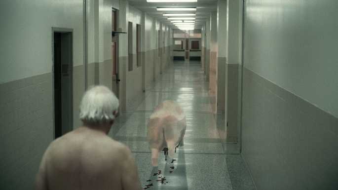 Zelador indo atrás de um porco no corredor.