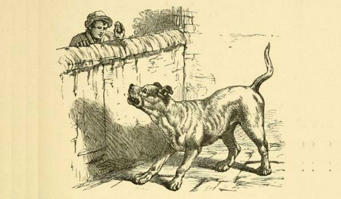 ladrão e cão de guarda