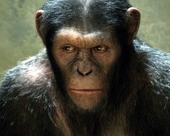 Planeta dos Macacos: resumo e explicação dos filmes