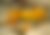 Obra Grande Núcleo, de Helio Oiticica exibe placas de madeira suspensas pintadas de amarelo