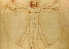 Homem Vitruviano: significado da obra de Leonardo da Vinci