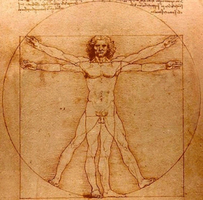 Quebra-cabeça Anatomia da Mão Humana por Leonardo da Vinci