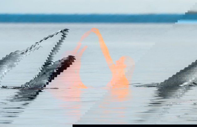 A Força do Querer (2017).