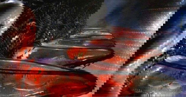 Neo acordando em uma capsula.