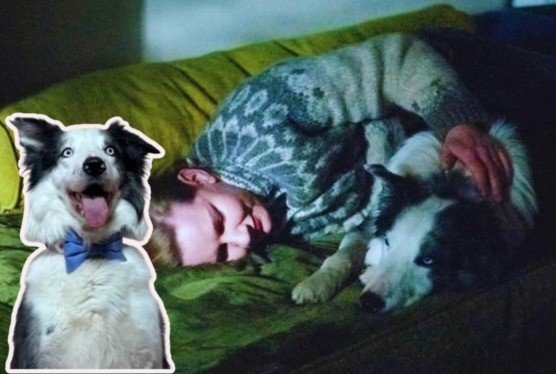 Mulher abraça cachorro deitados em uma cama em ambiente escuro