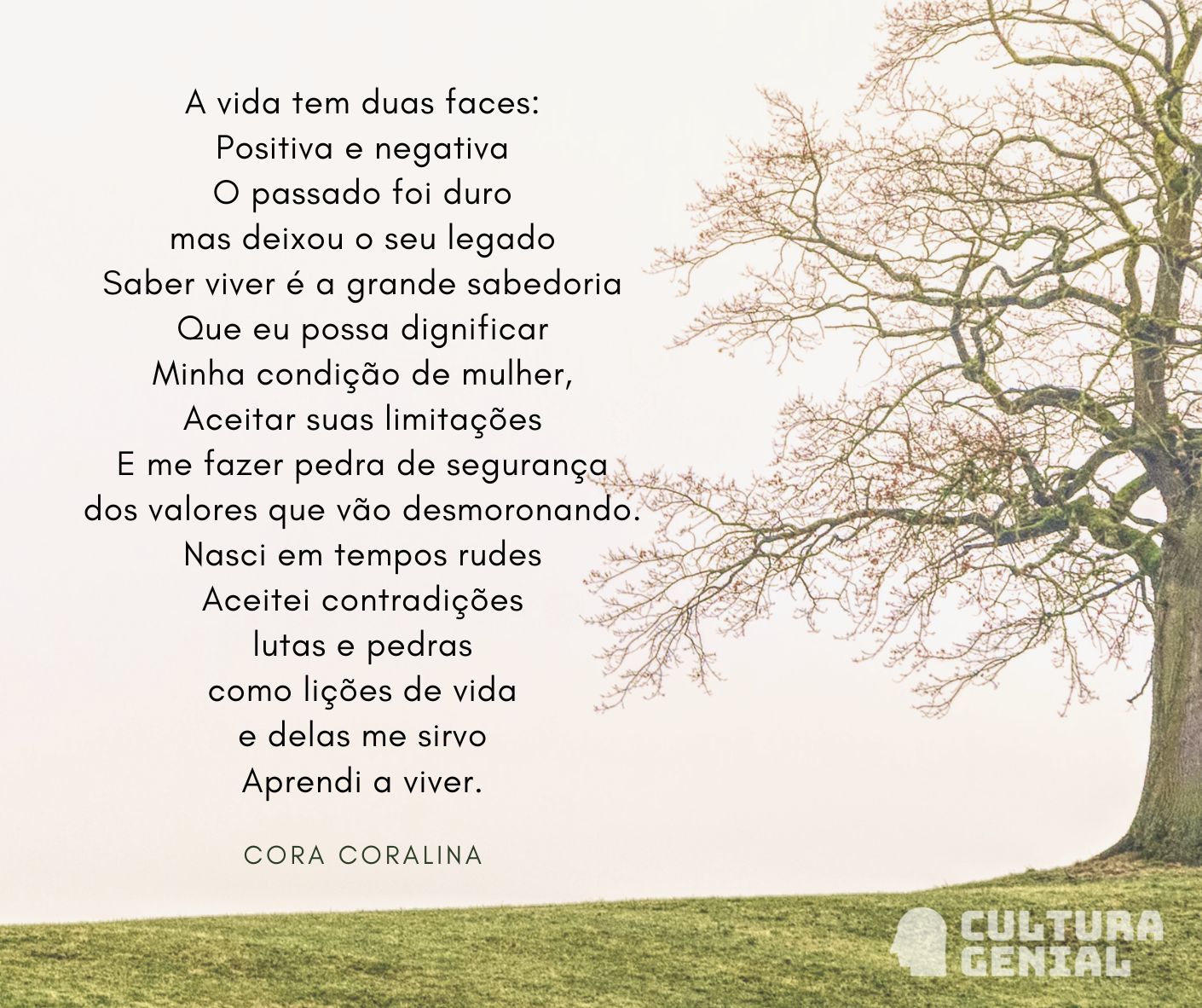 Poema de Cora Coralina com árvore ao fundo.