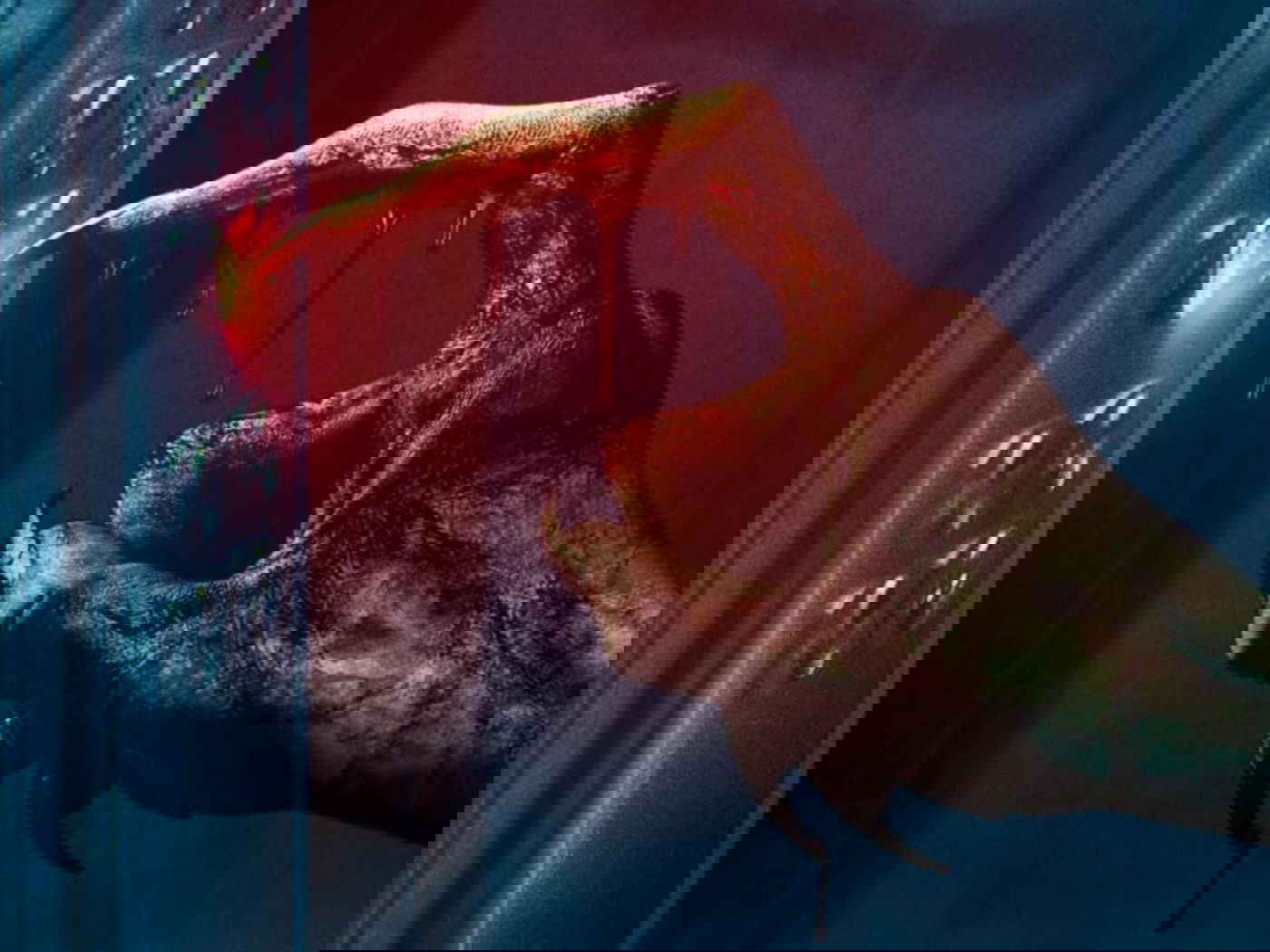 O jogo do elevador, filme do Prime Video