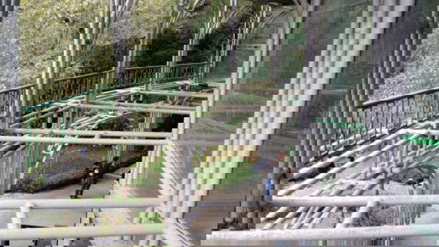 Parte da estrutura da Ópera de Arame composta por vidros, estruturas metálicas e tubos de aço.