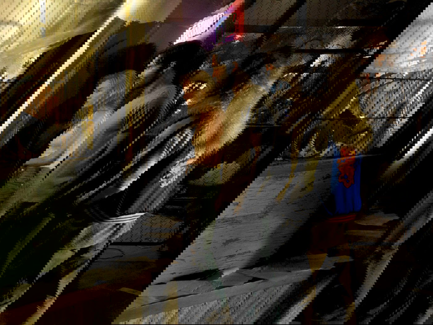 Filme Os domésticos