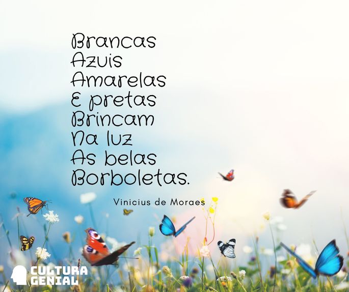 Poema Borboletas, de Vinicius de Moraes.