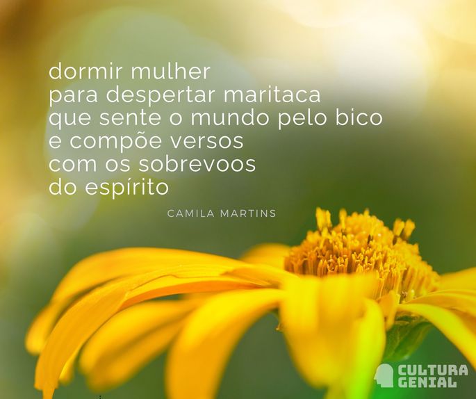 Poema de Camila Martins.
