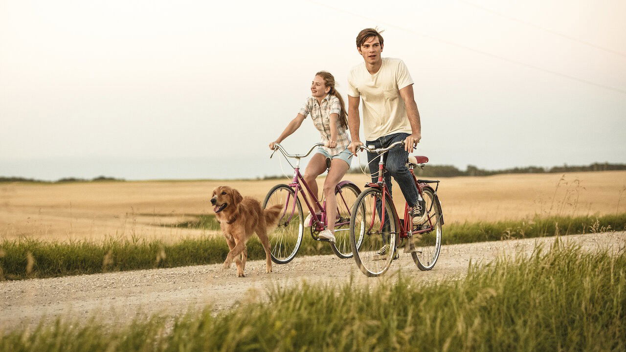 Casal andando de bicicleta com um cachorro do lado.