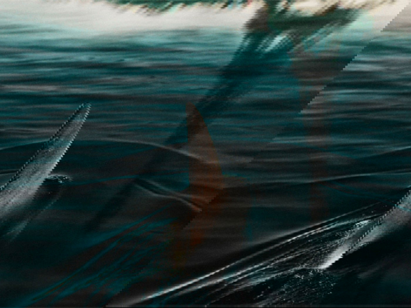 Sob as Águas do Sena, filme da Netflix