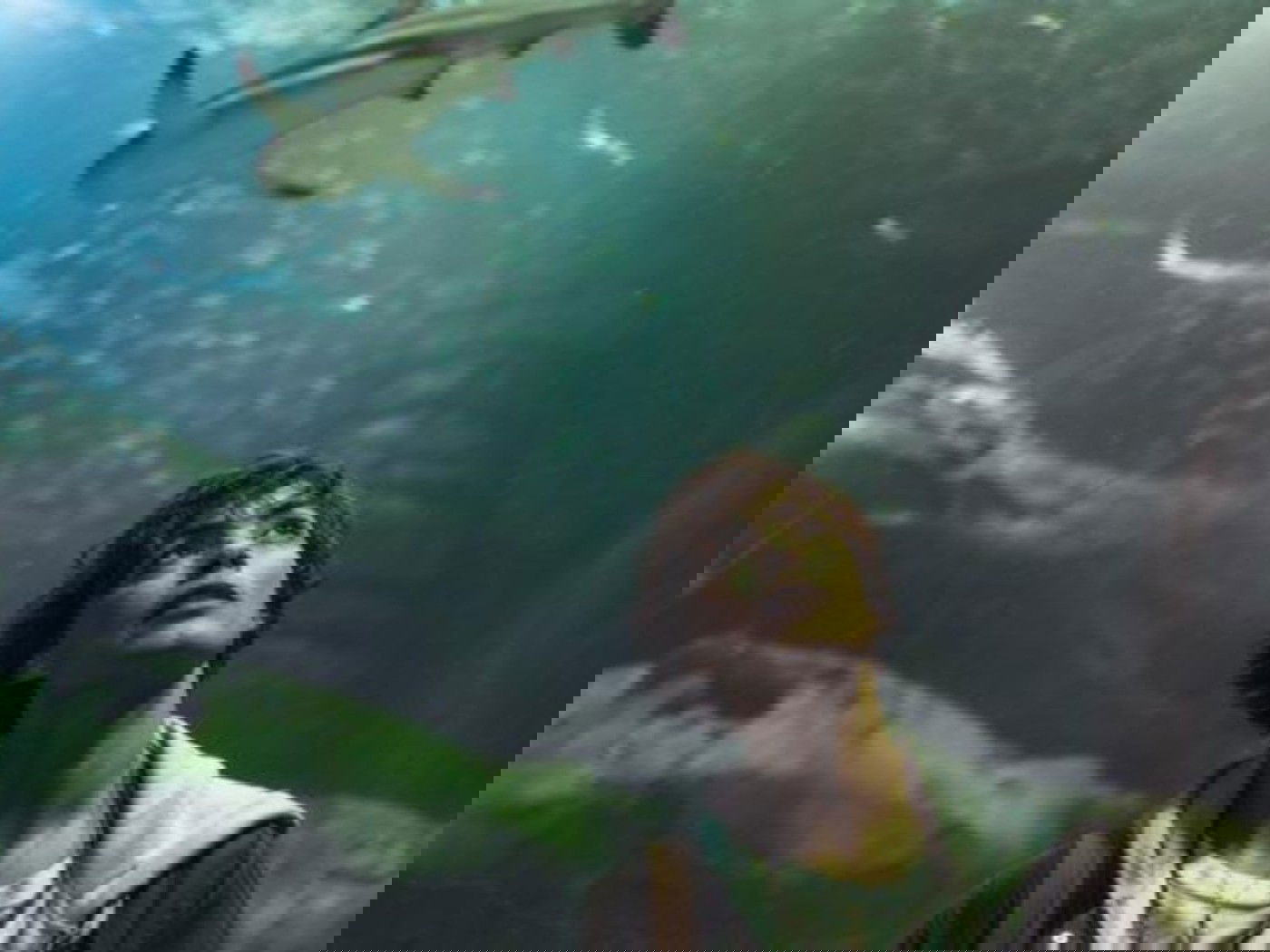 Sob as Águas do Sena, filme da Netflix