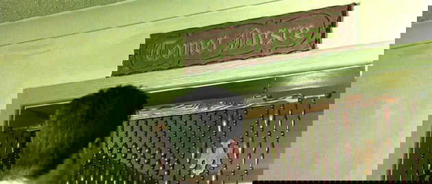 Plana na casa do Oraculo