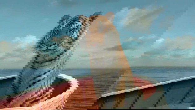 O tigre de bengala utilizado em praticamente todas as cenas foi gerado por computador.
