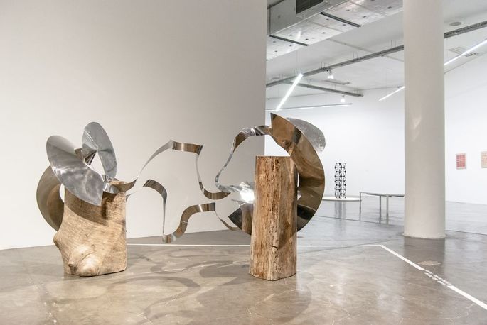 trepantes lygia clark