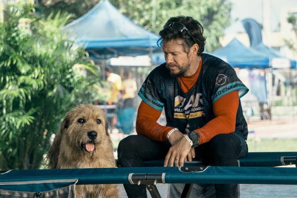 Cachorro do lado de um homem com roupa esportiva.